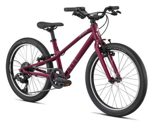 /childrens-bicycle-unisex-size-20-inch-green/